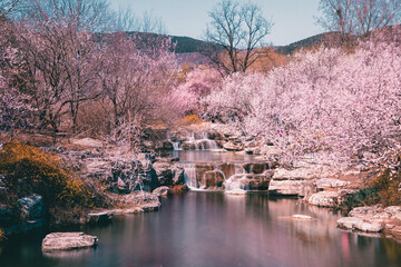 sakura, spring, waterfall, mountains, autumn, lake, water, stones, yellow foliage, trees, japan, asia
