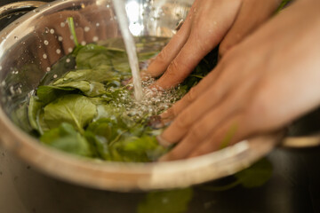 Happy and healthy young woman meal prepping whole vegetarian meal in the kitchen. High quality photo