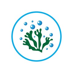 seaweed and seafood logo and icon vector