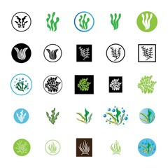 seaweed and seafood logo and icon vector