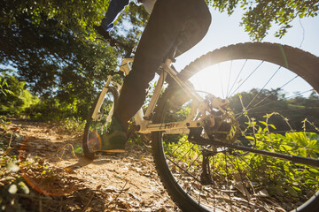 Fototapeta na wymiar Cycling on sunrise forest trail