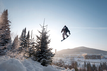 Naklejka na ściany i meble Snowboarder making high big air jump with grab in clear blue sunny sky during sunset above fir trees and mountains