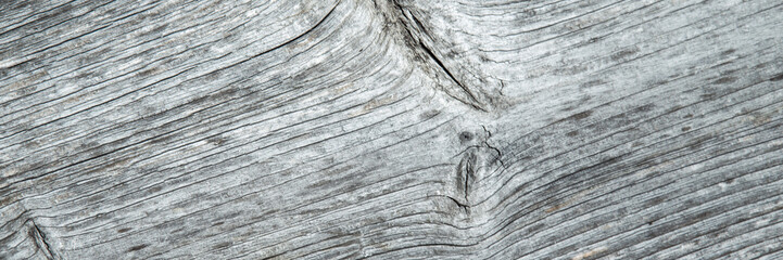 grunge background: sunburnt whitened wood surface close, cracks and dents, toning
