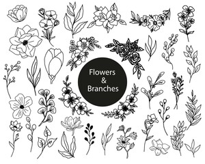 Hand drawn vector flowers set drawing. Decorative elements for design. Isolated on a white background. Ornament for embroidery, postcards and invitations