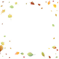 Fototapeta na wymiar Leaves Falling Autumn Foliage Chaotic Leaf Flying