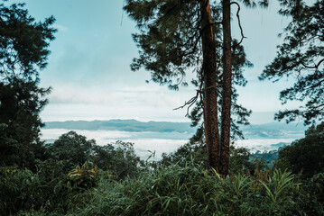 Sea of fog after rain in the valley