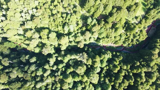 Aerial truck left of Termas Geometricas hot spring complex, hidden in ravine between green rain forest, Co&ntilde;aripe, Chile