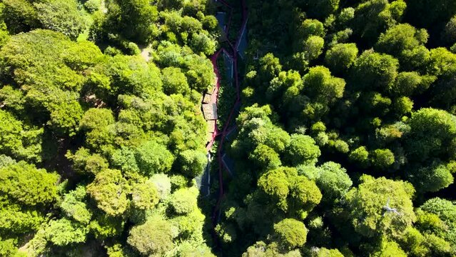 Aerial top down over Termas Geometricas hot spring complex in ravine surrounded by forest at daytime, Co&ntilde;aripe, Chile