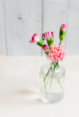 carnation flower in glass vase