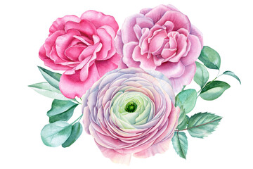 Bouquet from roses, ranunculus and eucalyptus leaves, watercolor botanical painting