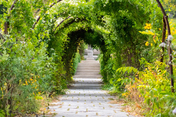 Fototapeta premium Path in the Garden