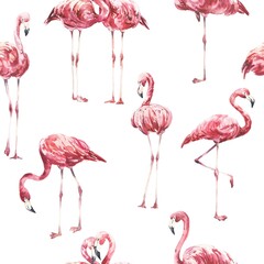 Pink flamingo seamless pattern on white background. Watercolour illustration.