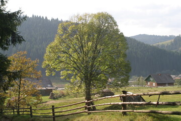 landscape in the mountains