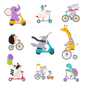 Cute Animal Character Riding Bike And Scooter Vector Set