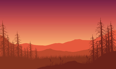 Stunning views of the mountains at dusk from the out of the city with the silhouettes of dry trees all around