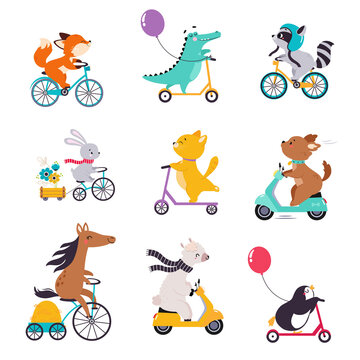 Cute Animal Character Riding Bike And Scooter Vector Set