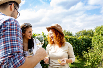Friends in vineyard with glass of wine in hands talking and smile