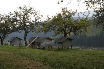 old house in the woods