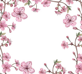 Square frame of cherry blossoms and cherry blossoms.Watercolor spring botanical illustration