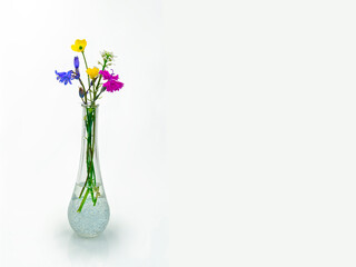 Bouquet of wildflowers in a thin vase, on white background with copy space.