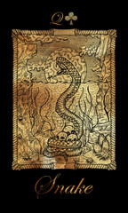 Snake.  Card from the oracle Old Marine Lenormand deck. Nautical vintage background.