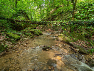 Obraz premium Caucasus Mountains, Adygea. Rapids and waterfalls on the mountain river Aminovka.