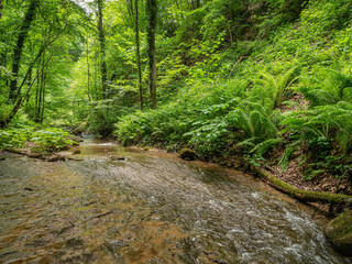 Obraz premium Caucasus Mountains, Adygea. Rapids and waterfalls on the mountain river Aminovka.