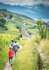 Family walking on trail through green vineyard