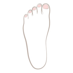 女性の左の足の甲