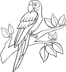Coloring page. Cute parrot green macaw sits and smiles.