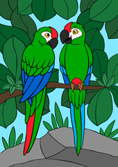 Cartoon birds. Two cute parrots green macaw sit on the tree branch. They are in love.