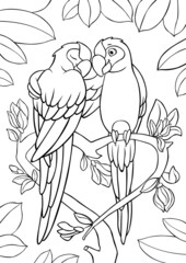 Coloring page. Two cute parrots green macaw sits and smiles. They are in love.