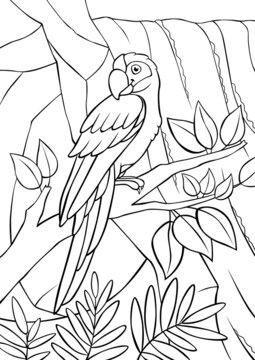 Coloring page. Cute parrot green macaw sits and smiles. There is waterfall in the background.