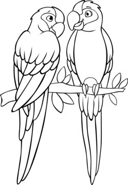 Coloring page. Two cute parrots green macaw sits and smiles. They are in love.