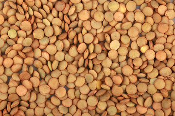 Green lentils isolated on white background.