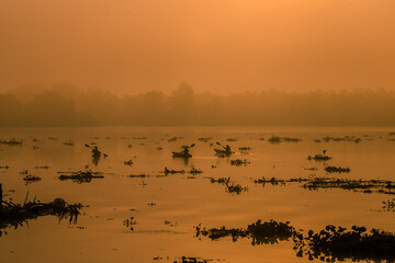 Panoramic nature background (mountains, sea, trees, twilight lights in the sky, waterfront communities), naturally blurred through the wind, seen on tourist spots or scenic spots