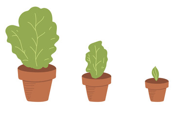 Fototapeta premium Seedlings of young plants in clay pots. Illustration isolated on a white background. Badge of horticulture, plants of young plants.