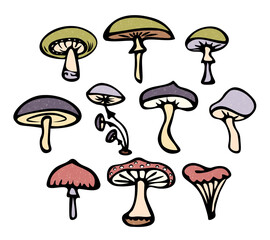 A set of mushrooms. Vector image. Set of colored mushrooms in doodle style, edible and inedible mushrooms. Template for creating compositions, printing patterns.