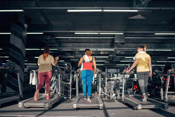 Fototapeta premium Back view of girls running on treadmill in gym
