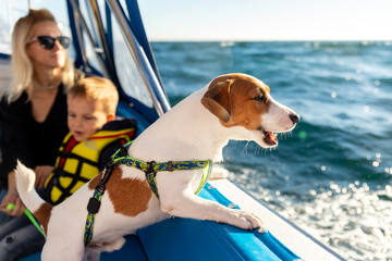 Profile side view of cute adorable little jack russel terrier dog sailing with family on luxury yacht boat deck against clean blue azure water on bright sunny summer day. Travel sea tourism with pets