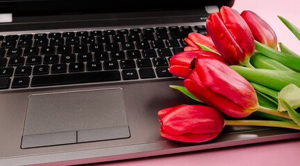 Bouquet of red tulips on pink paper background with a laptop on work place. Template for advertising or visualization of blog with copy space for text. Business card. Holiday certificate. Banner.
