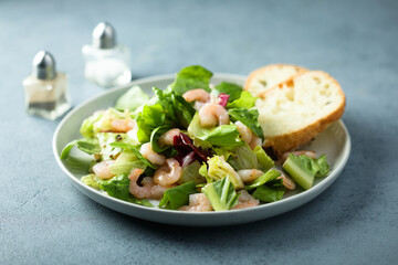 Healthy green salad with shrimps