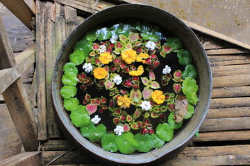 flowers in a bowl