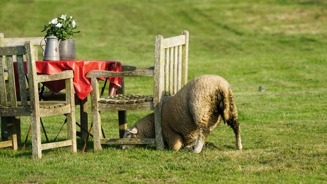 Einladung: "Essen gehen mit allen Sinnen"