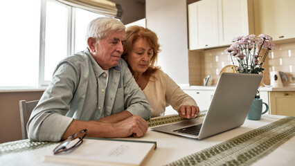 Elderly caucasian couple use and watch on laptop