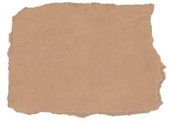 Brown ripped paper background