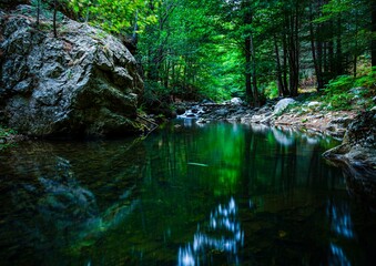 little part of paradice inside the forest in italy