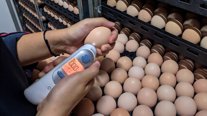 someone is checking the temperature of the eggs in the incubator machine using a temperature...