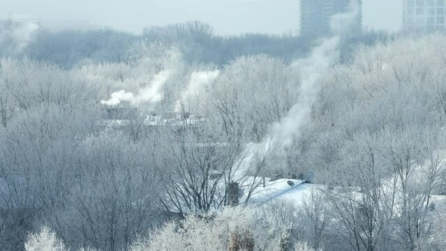 Smoke from chimney of wood burning fireplace causing air polution and smog in Montreal in winter. Despite being a major cause of smog, wood burning is bizarrely still allowed in Montreal, Canada