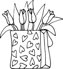 Bouquet of tulips. Spring flowers. Vector doodle illustration.